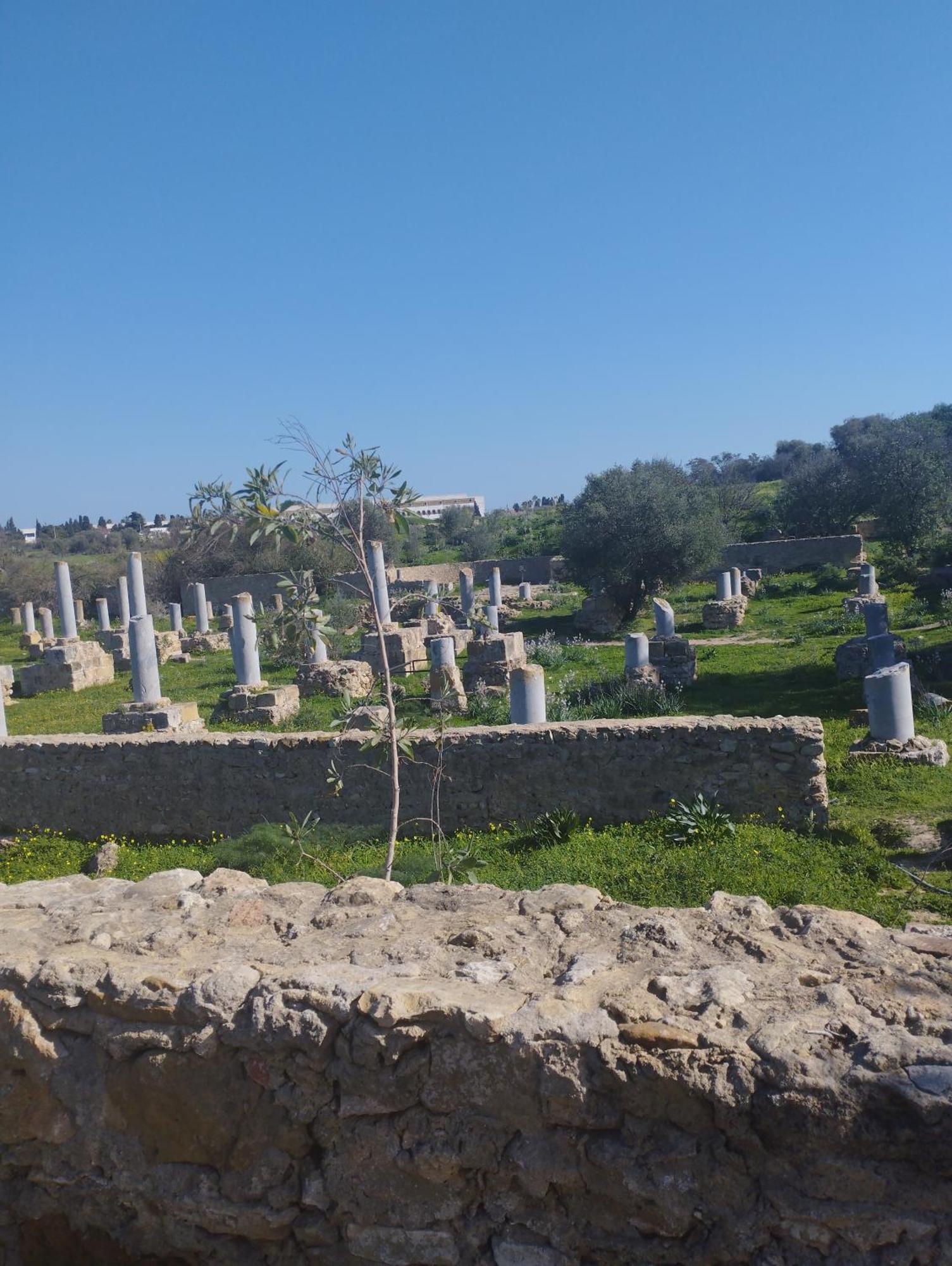 Appartement A Carthage Byrsa Buitenkant foto